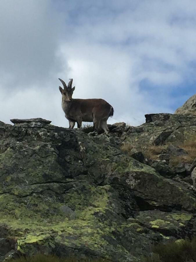 Hostal Sierra De Gredos Arenas de San Pedro Exteriér fotografie